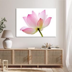 Canvas print Lotus flower Framed canvas View 1 2