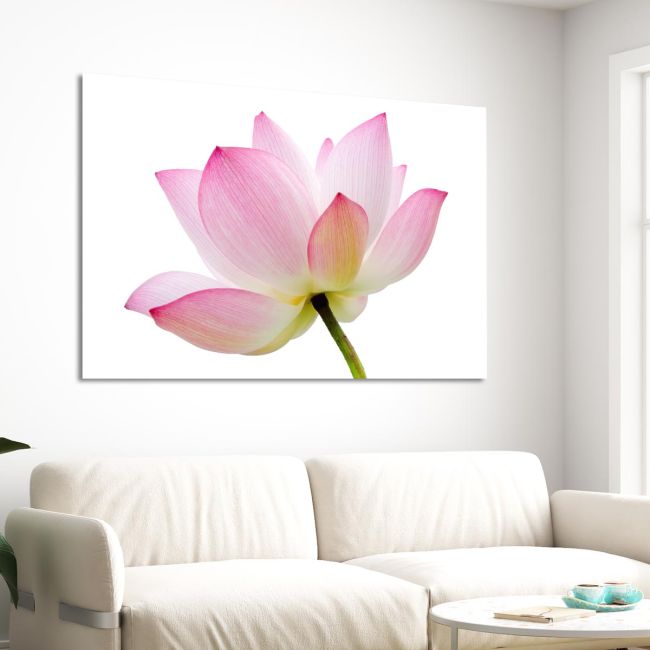Πίνακας Lotus flower