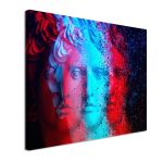 Canvas printAbstract effect on a bust