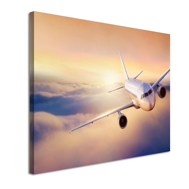 Canvas printMorning flight