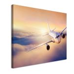 Canvas printMorning flight