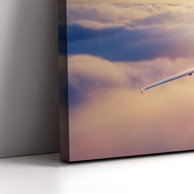 Canvas printMorning flight