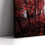 Canvas print Park of Pateira de Fermentelos I