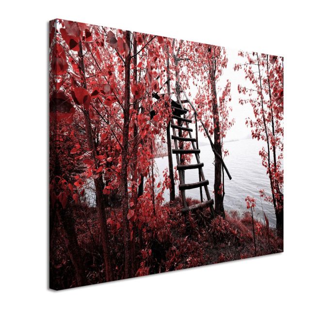 Canvas print Park of Pateira de Fermentelos I