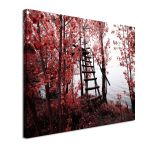 Canvas print Park of Pateira de Fermentelos I