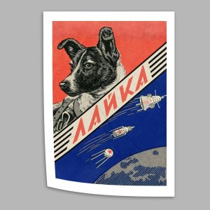 Laika, αφίσα, κάδρο 2