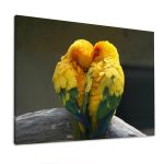 Canvas print Lovebirds