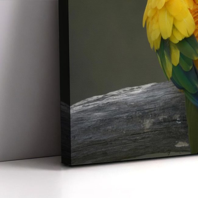 Canvas print Lovebirds