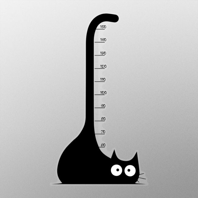 Cat height stickers