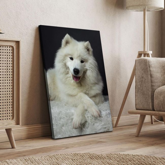 Πίνακας σε καμβά Samoyed dog Καμβάς τελαρωμένος Όψη 4