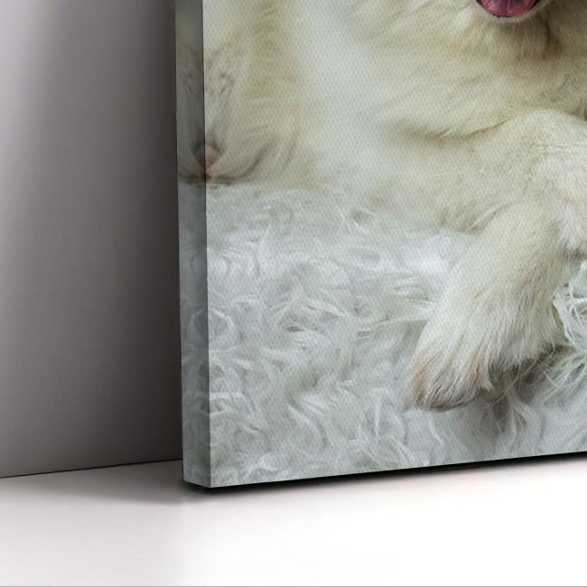 Πίνακας σε καμβά Samoyed dog Καμβάς τελαρωμένος Όψη 5