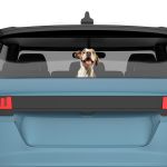 Funny car sticker, American Pitbull Terrier
