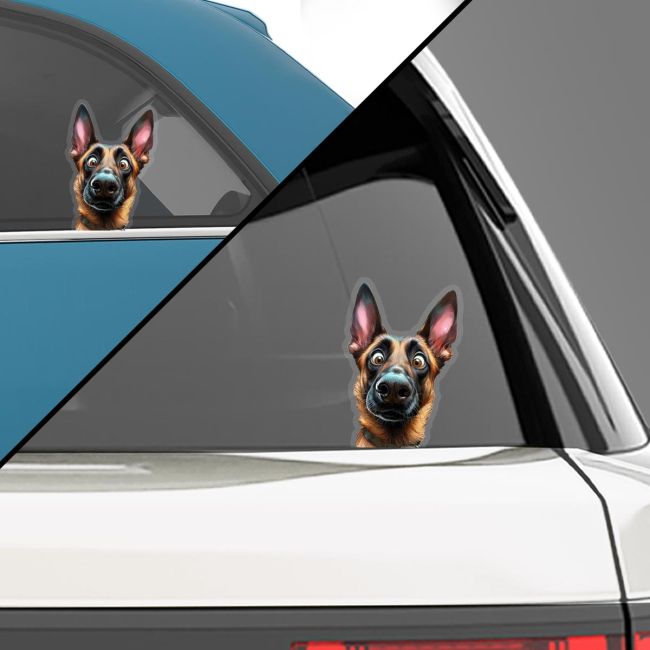 Funny car sticker, Belgian Malinois