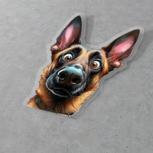 Funny car sticker, Belgian Malinois 2