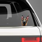 Funny car sticker, Belgian Malinois
