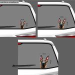 Funny car sticker, Belgian Malinois