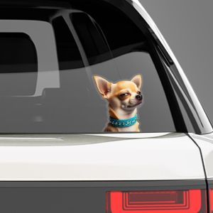 Funny car sticker, Chihuahua 2