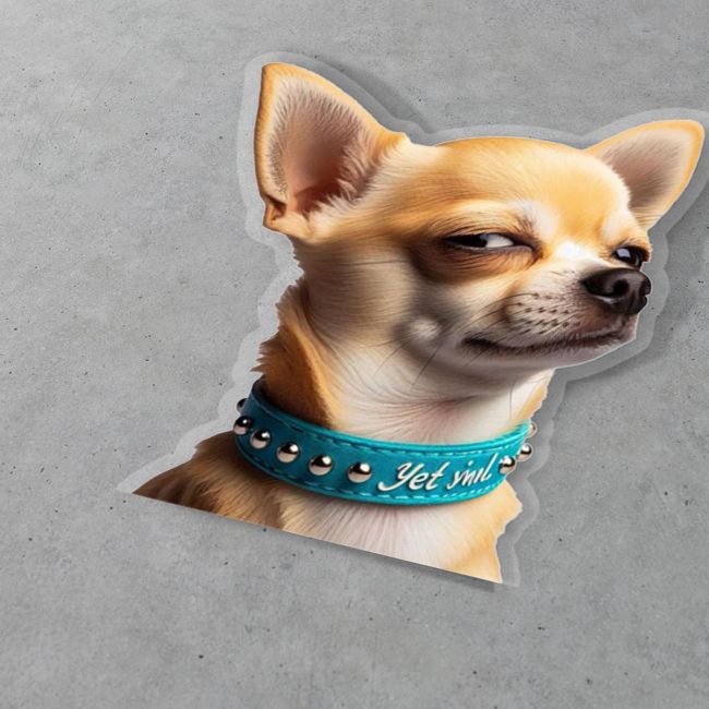 Funny car sticker, Chihuahua