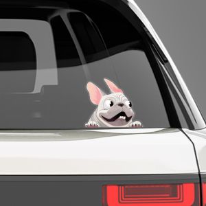 Funny car sticker, White French Bulldog 2
