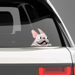 Funny car sticker, White French Bulldog