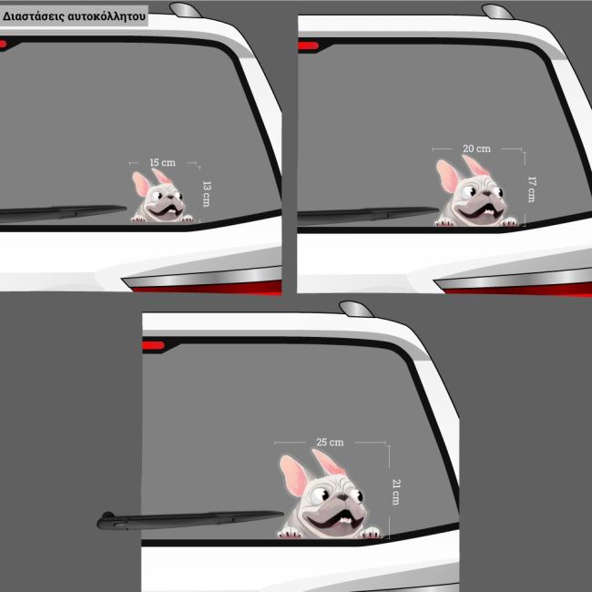 Funny car sticker, White French Bulldog