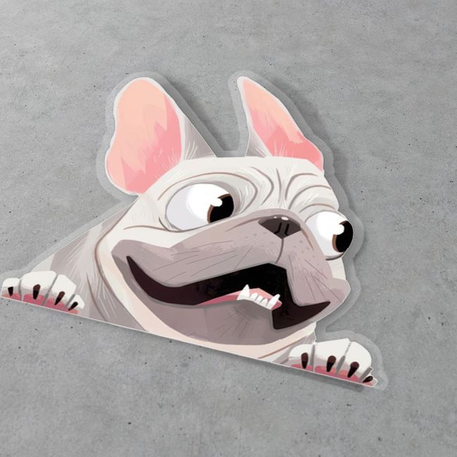 Funny car sticker, White French Bulldog