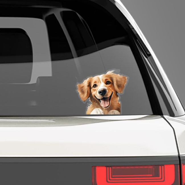 Funny car sticker, Golden Retriever