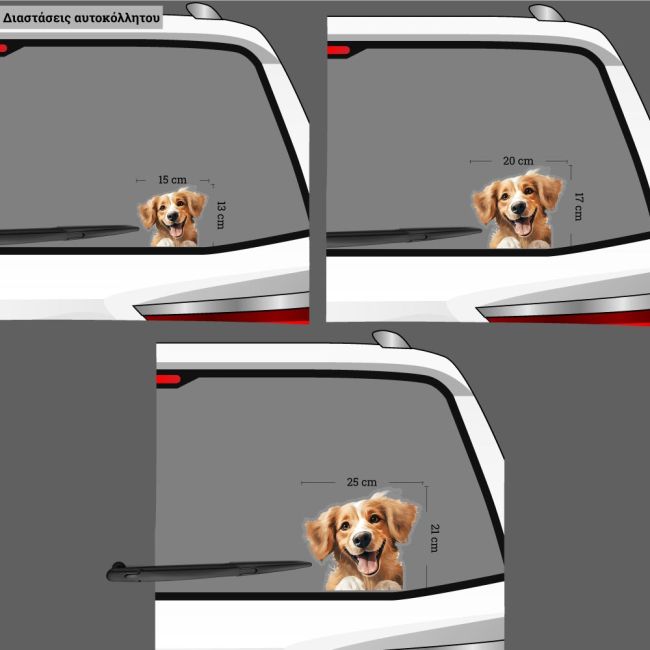 Funny car sticker, Golden Retriever