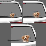 Funny car sticker, Golden Retriever