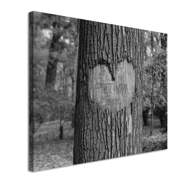 Canvas print Heart on tree (with name) Framed canvas View 4