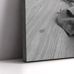 Canvas print Rose, Rose on wood multicolor