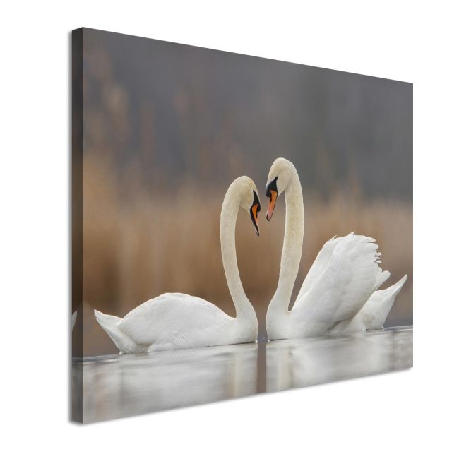 Πίνακας σε καμβά Κύκνοι Swans in love Καμβάς τελαρωμένος Όψη 4