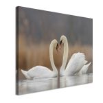 Canvas print Swans in love Framed canvas View 4