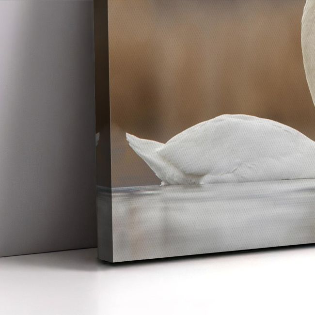 Canvas print Swans in love Framed canvas View 5