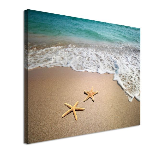 Canvas print  Starfishes Framed canvas View 4