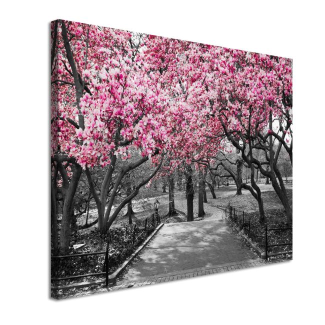 Πίνακας σε καμβά Ανθισμένα δέντρα Pink Blossoms central park Καμβάς τελαρωμένος Όψη 4