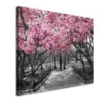Canvas print Pink Blossoms central park Framed canvas View 4