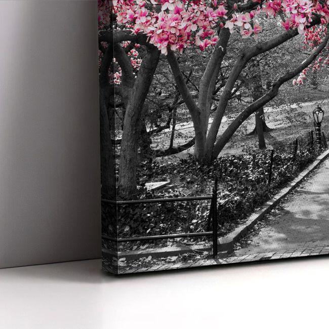 Canvas print Pink Blossoms central park Framed canvas View 5