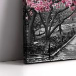 Canvas print Pink Blossoms central park Framed canvas View 5