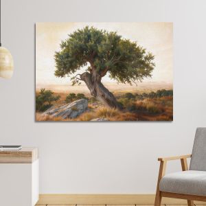 Canvas print Olive tree in the plain Framed canvas View 1