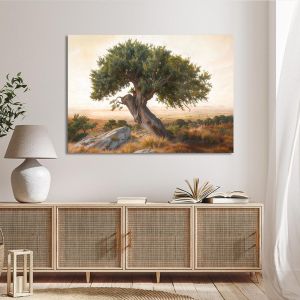 Canvas print Olive tree in the plain Framed canvas View 1 2