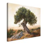 Canvas print Olive tree in the plain Framed canvas View 4