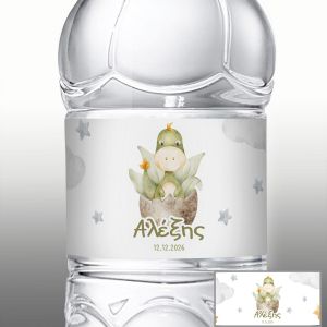 Αυτοκόλλητη ετικέτα Δεινοσαυράκι στο αυγό  με όνομα και ημερομηνία 9.5x4.5 ▭ Όψη 8 2