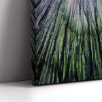 Canvas print Looking in the night sky