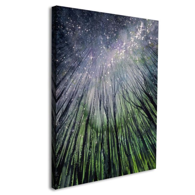 Canvas print Looking in the night sky