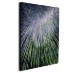 Canvas print Looking in the night sky