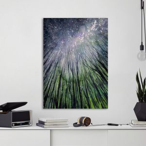 Canvas print Looking in the night sky