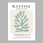 Αφίσα Έκθεσης Matisse Papier Découpés III  Αφίσα Όψη 15