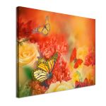 Πίνακας σε καμβά Butterflies and roses