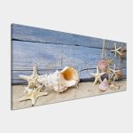 Canvas print Nautilus and starfish, panoramic